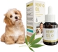 Hemp Oil for Dogs