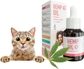 Hemp Oil for Cats