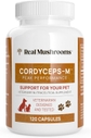 Cordyceps Pet Support